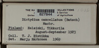Image Associated With the Occurence